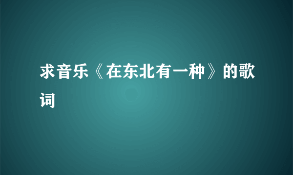 求音乐《在东北有一种》的歌词