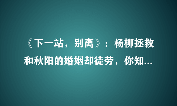 《下一站，别离》：杨柳拯救和秋阳的婚姻却徒劳，你知道为什么吗