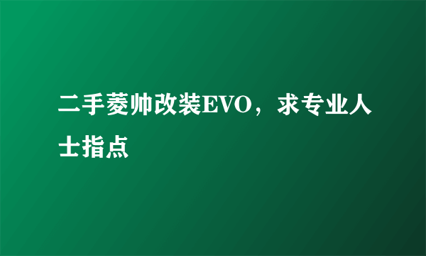 二手菱帅改装EVO，求专业人士指点