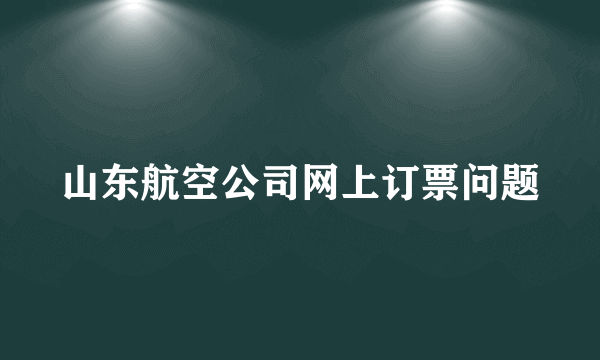 山东航空公司网上订票问题