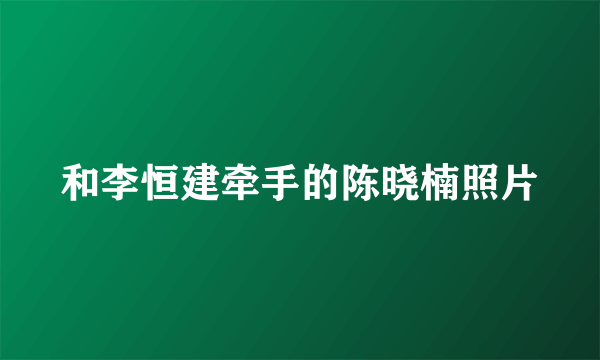 和李恒建牵手的陈晓楠照片