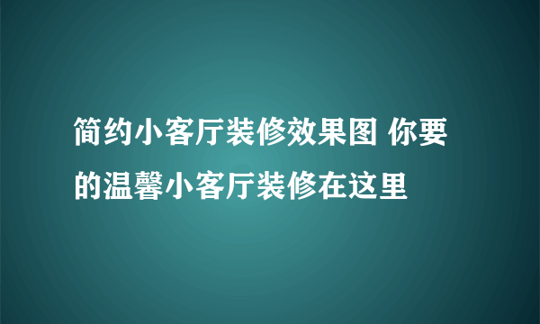 简约小客厅装修效果图 你要的温馨小客厅装修在这里