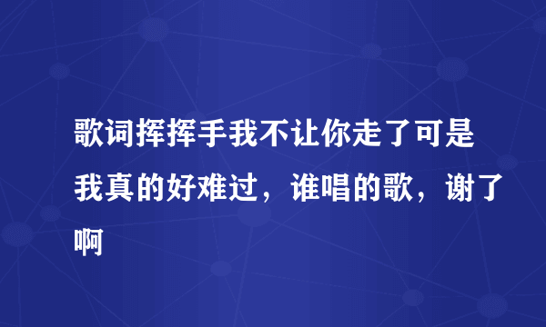 歌词挥挥手我不让你走了可是我真的好难过，谁唱的歌，谢了啊