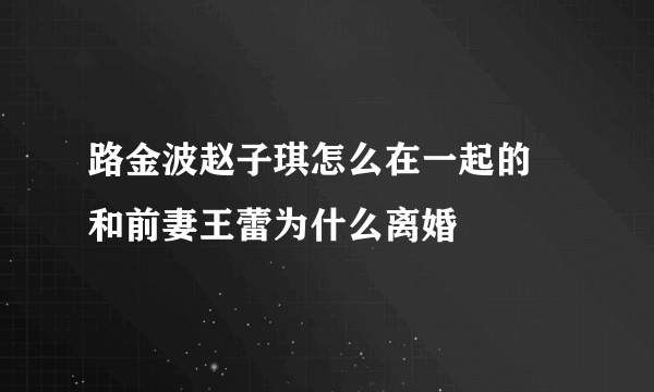 路金波赵子琪怎么在一起的 和前妻王蕾为什么离婚