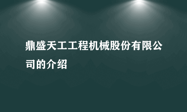 鼎盛天工工程机械股份有限公司的介绍