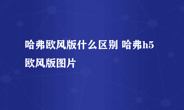 哈弗欧风版什么区别 哈弗h5欧风版图片