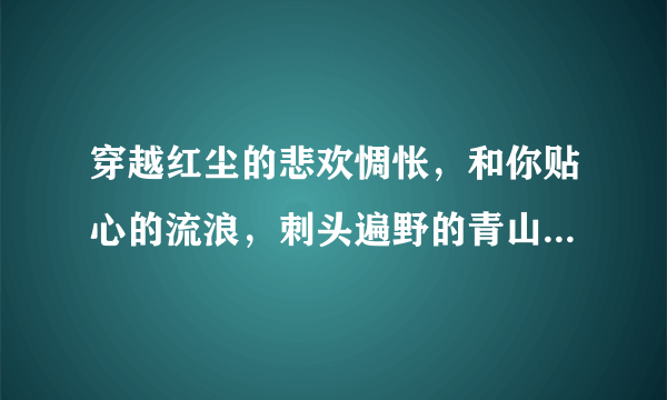 穿越红尘的悲欢惆怅，和你贴心的流浪，刺头遍野的青山和荒凉，....这是什么歌？拜托了请告诉我一下。