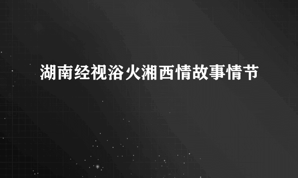 湖南经视浴火湘西情故事情节