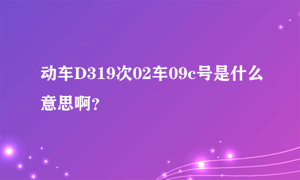 动车D319次02车09c号是什么意思啊？