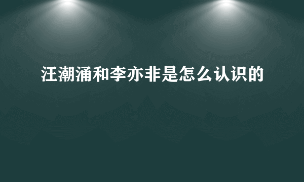 汪潮涌和李亦非是怎么认识的