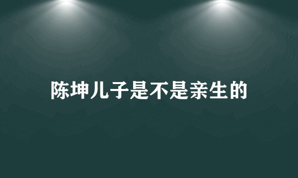 陈坤儿子是不是亲生的