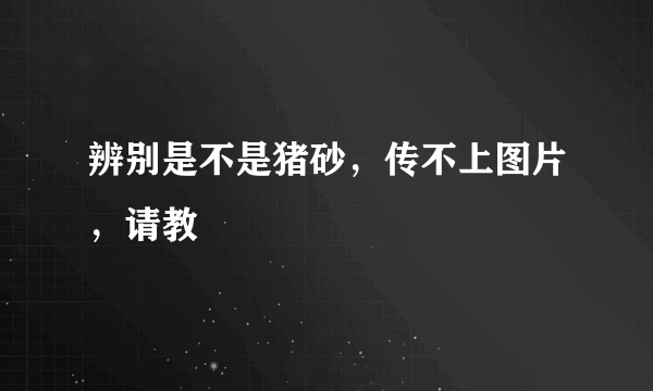 辨别是不是猪砂，传不上图片，请教