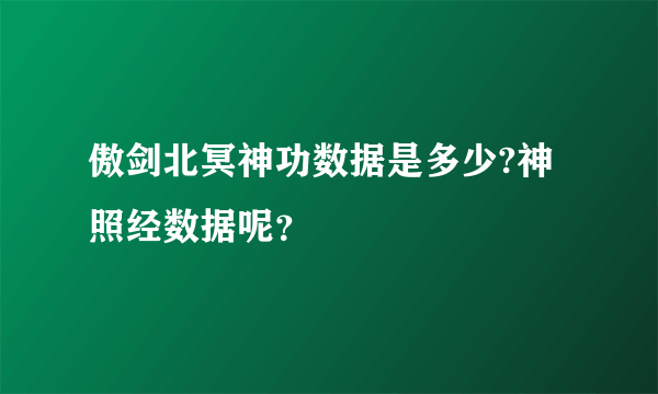 傲剑北冥神功数据是多少?神照经数据呢？