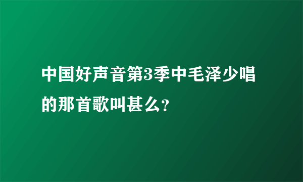 中国好声音第3季中毛泽少唱的那首歌叫甚么？