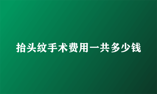 抬头纹手术费用一共多少钱