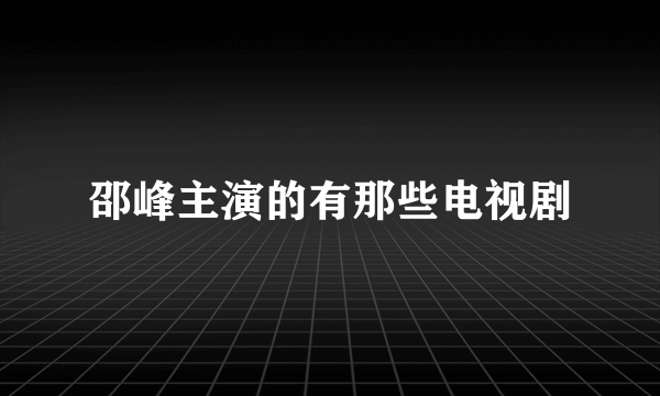 邵峰主演的有那些电视剧