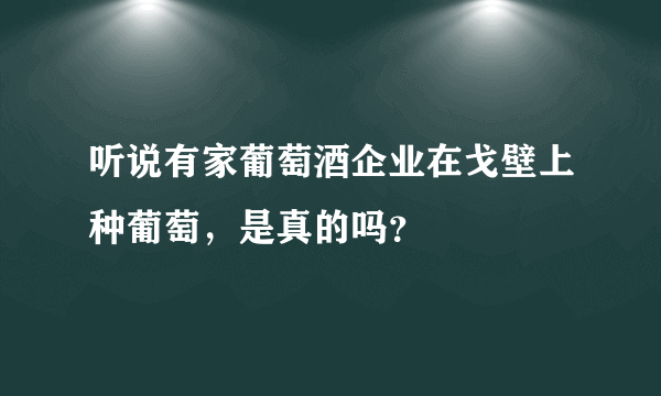 听说有家葡萄酒企业在戈壁上种葡萄，是真的吗？