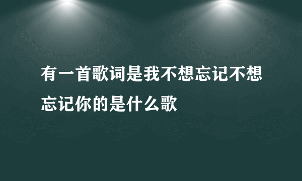 有一首歌词是我不想忘记不想忘记你的是什么歌