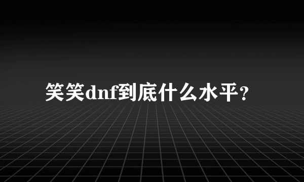 笑笑dnf到底什么水平？