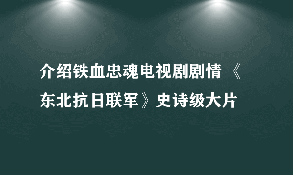 介绍铁血忠魂电视剧剧情 《东北抗日联军》史诗级大片