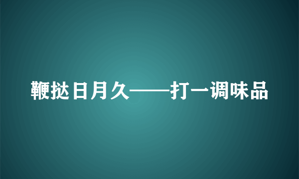 鞭挞日月久——打一调味品