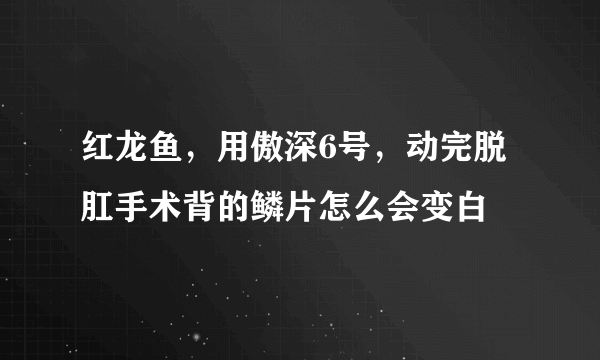 红龙鱼，用傲深6号，动完脱肛手术背的鳞片怎么会变白