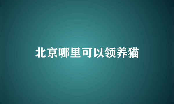 北京哪里可以领养猫