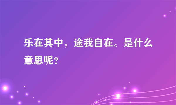 乐在其中，途我自在。是什么意思呢？