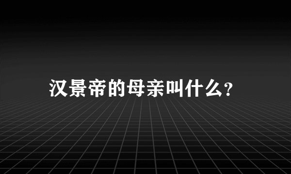 汉景帝的母亲叫什么？