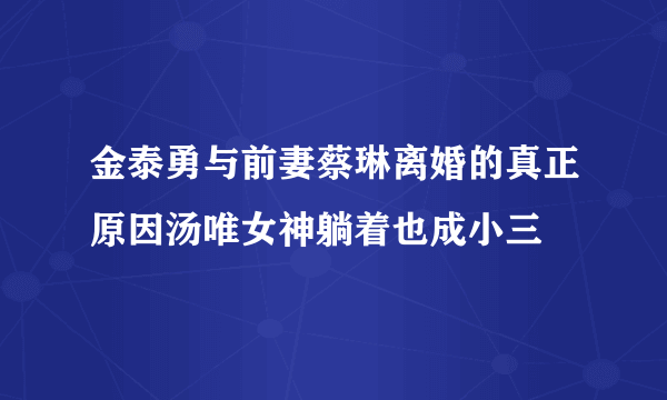 金泰勇与前妻蔡琳离婚的真正原因汤唯女神躺着也成小三