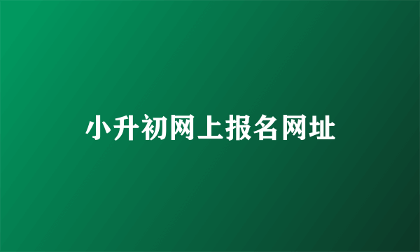 小升初网上报名网址