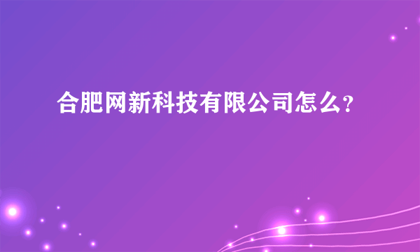 合肥网新科技有限公司怎么？