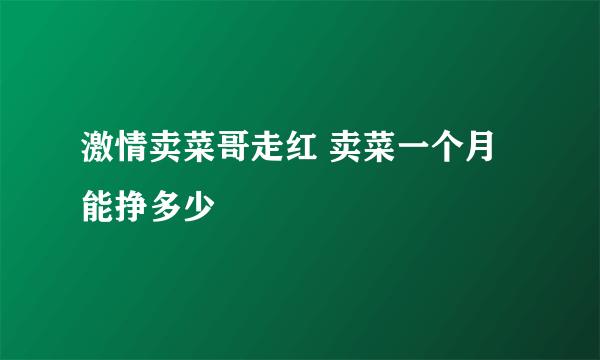 激情卖菜哥走红 卖菜一个月能挣多少