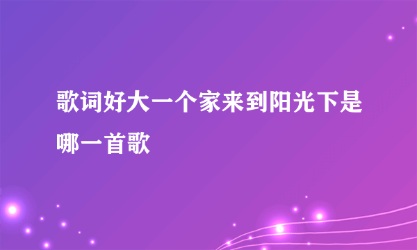 歌词好大一个家来到阳光下是哪一首歌