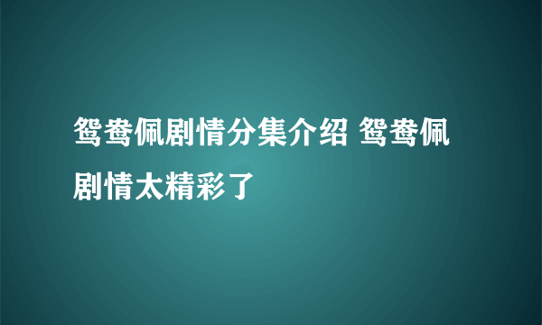 鸳鸯佩剧情分集介绍 鸳鸯佩剧情太精彩了