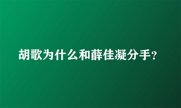 胡歌为什么和薛佳凝分手？