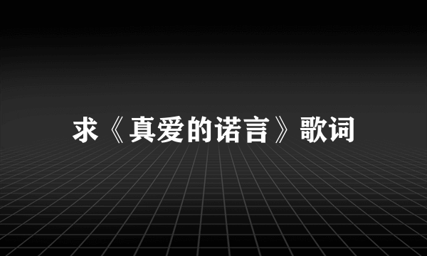 求《真爱的诺言》歌词