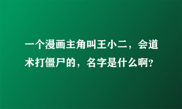 一个漫画主角叫王小二，会道术打僵尸的，名字是什么啊？