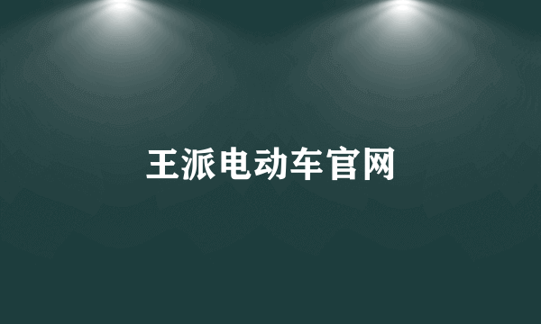 王派电动车官网