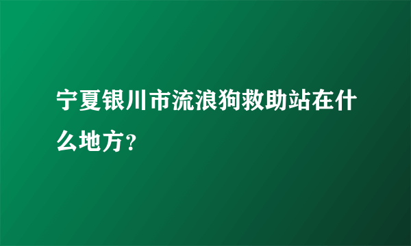 宁夏银川市流浪狗救助站在什么地方？