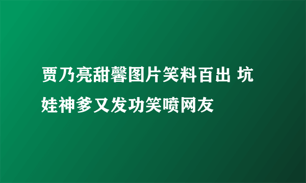 贾乃亮甜馨图片笑料百出 坑娃神爹又发功笑喷网友