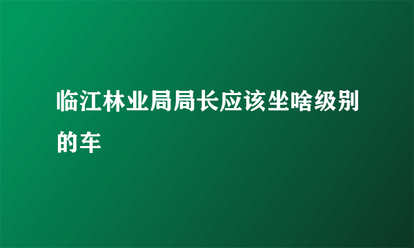 临江林业局局长应该坐啥级别的车