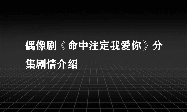 偶像剧《命中注定我爱你》分集剧情介绍