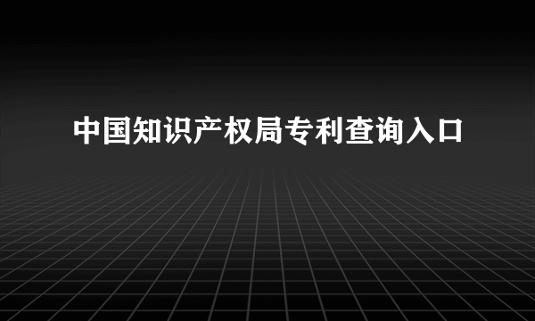 中国知识产权局专利查询入口