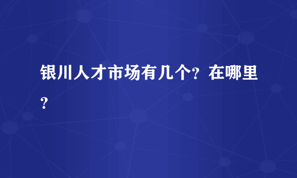 银川人才市场有几个？在哪里？