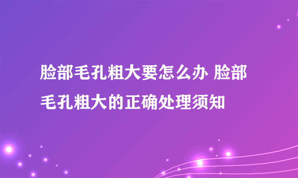 脸部毛孔粗大要怎么办 脸部毛孔粗大的正确处理须知