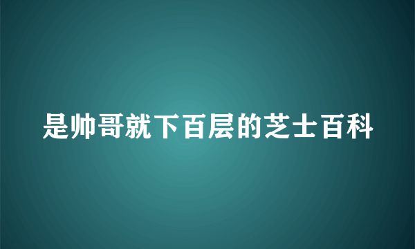 是帅哥就下百层的芝士百科