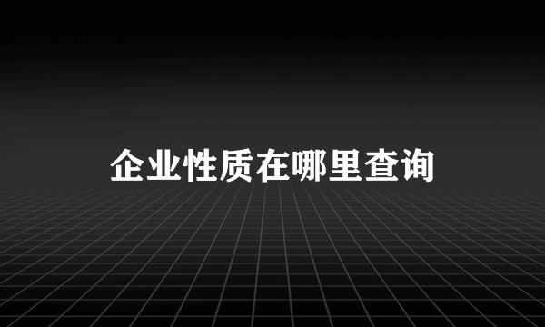 企业性质在哪里查询