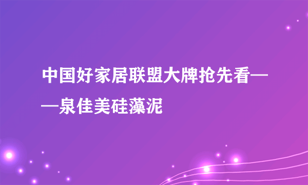 中国好家居联盟大牌抢先看——泉佳美硅藻泥