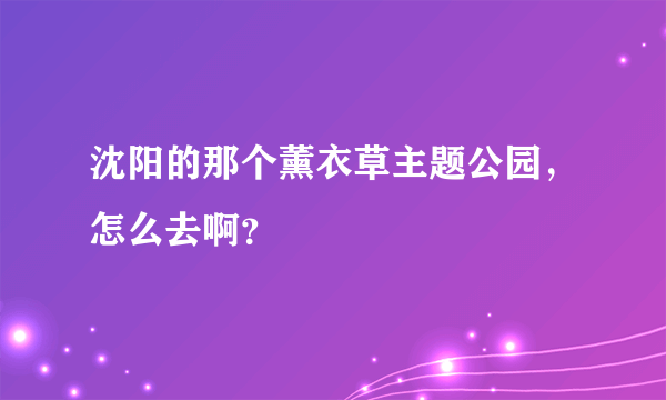 沈阳的那个薰衣草主题公园，怎么去啊？